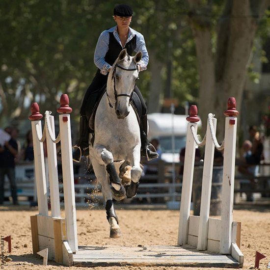 Equitation-de-Travail(6)