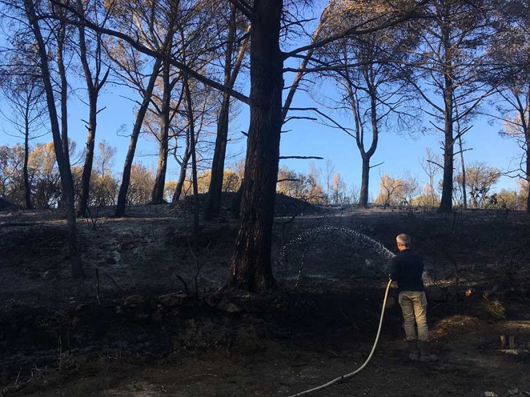 incendie03
