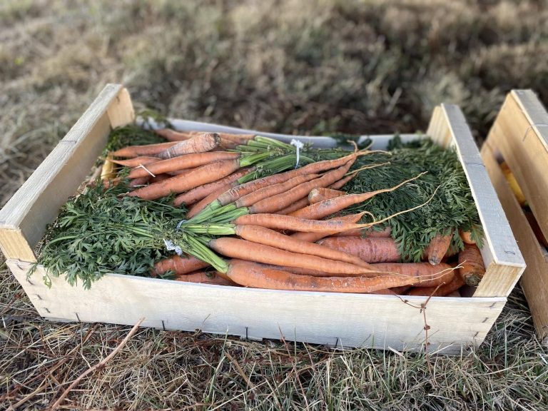 Concours du Poët avec l'équipe de Camaïsse