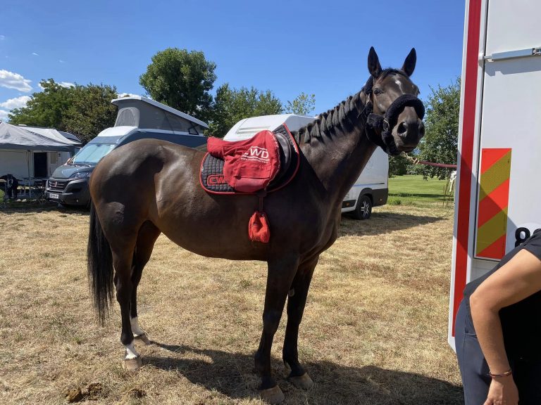 Concours du Poët avec l'équipe de Camaïsse
