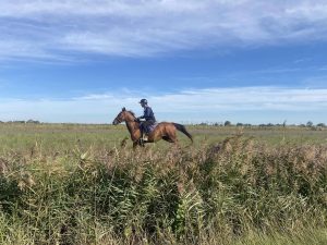 Belle performance en endurance à Salin-de-Giraud