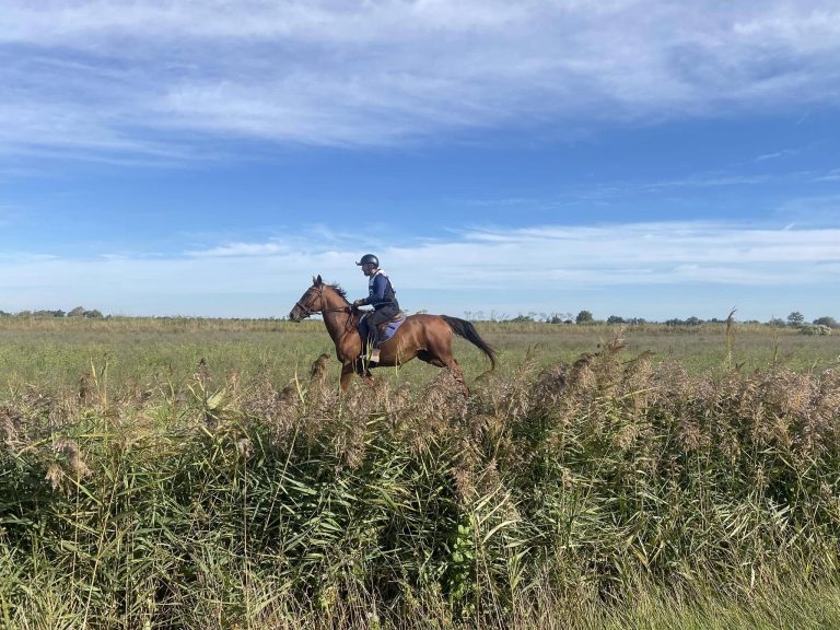 Belle performance en endurance à Salin-de-Giraud