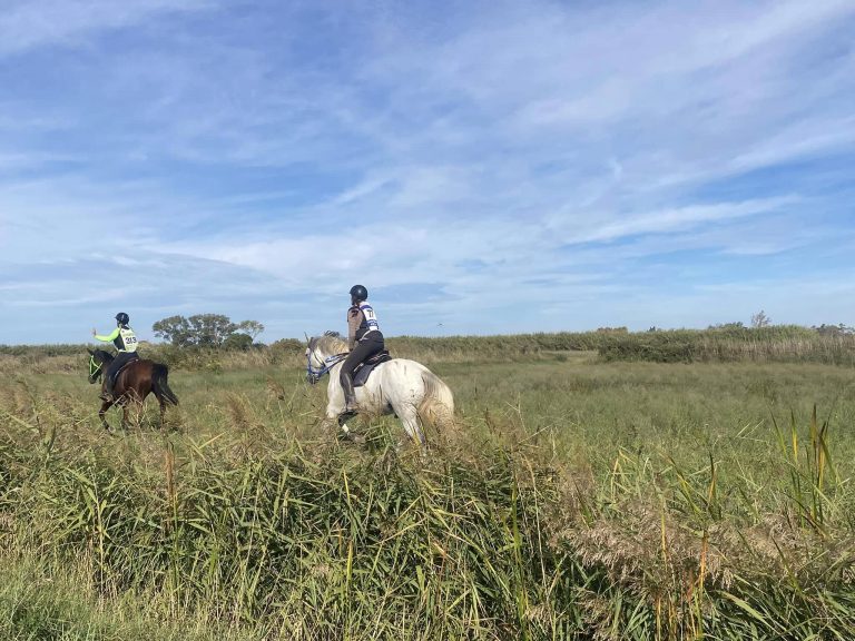 Belle performance en endurance à Salin-de-Giraud
