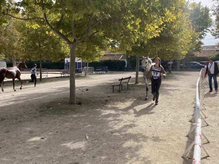 Belle performance en endurance à Salin-de-Giraud