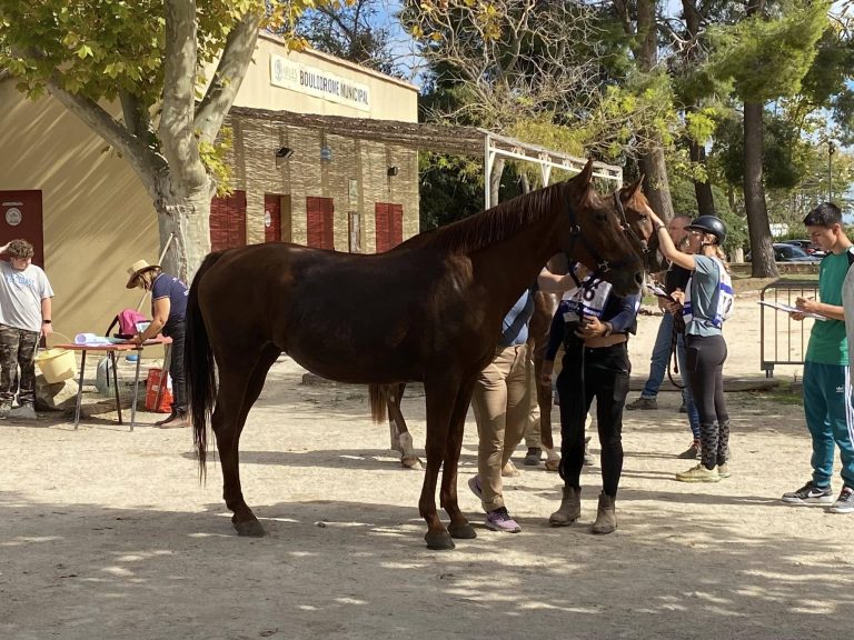 Belle performance en endurance à Salin-de-Giraud