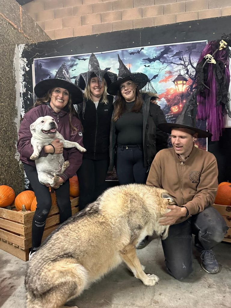 Halloween aux Écuries de Camaïsse