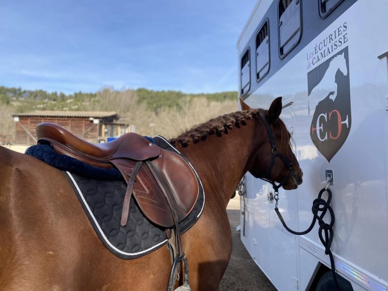 Sortie au Jumping de Meyreuil avec l'équipe des écuries de Camaïsse