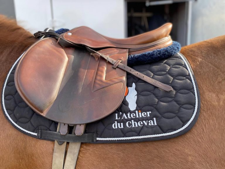 Sortie au Jumping de Meyreuil avec l'équipe des écuries de Camaïsse