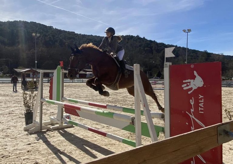 Sortie au Jumping de Meyreuil avec l'équipe des écuries de Camaïsse