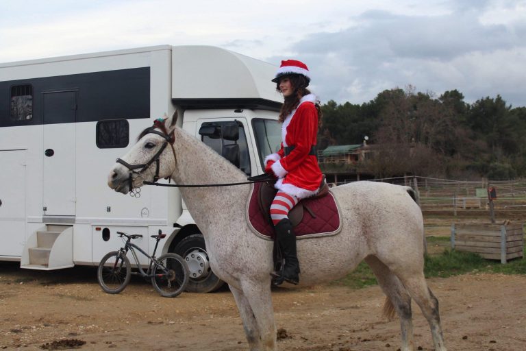 un noël au écurie de Camaïsse