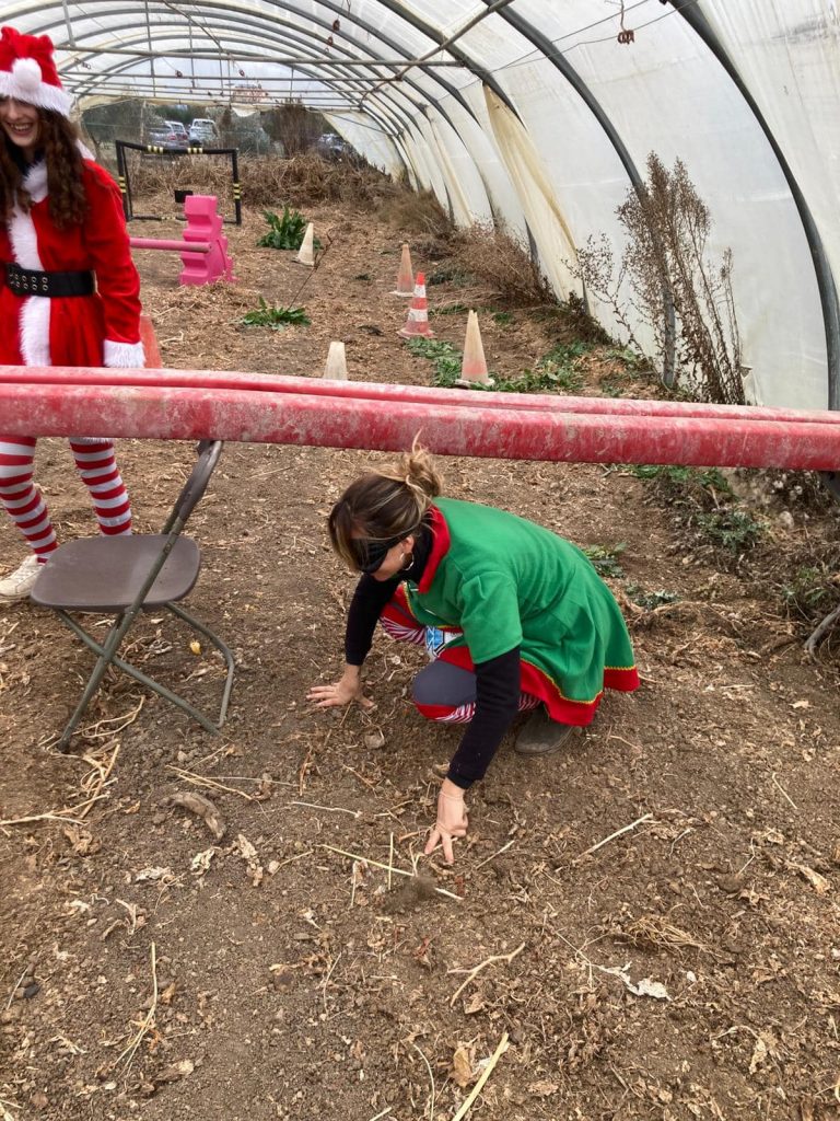 Noël à Camaisse : chasse au trésor et tombola