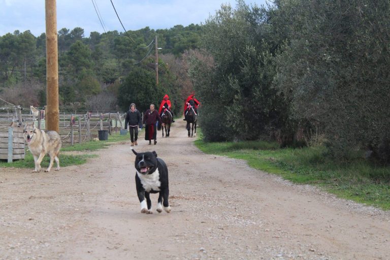 Noël à Camaisse : chasse au trésor et tombola