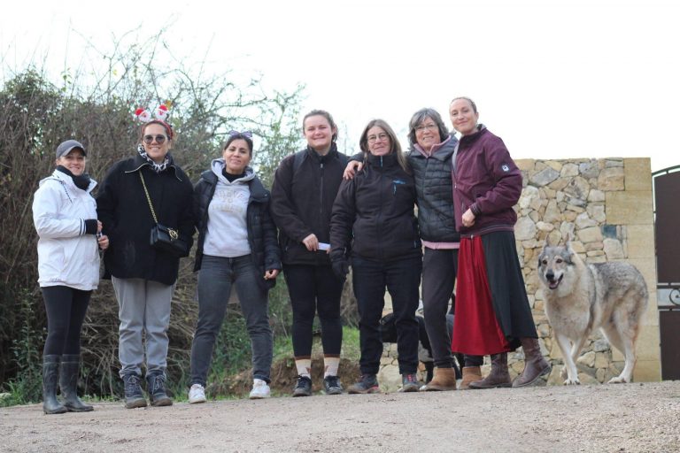 Noël à Camaisse : chasse au trésor et tombola