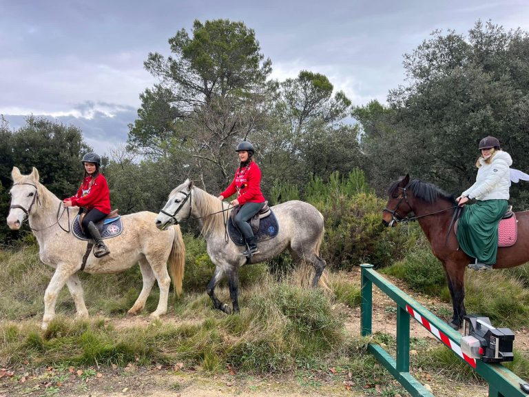 Noël à Camaisse : chasse au trésor et tombola