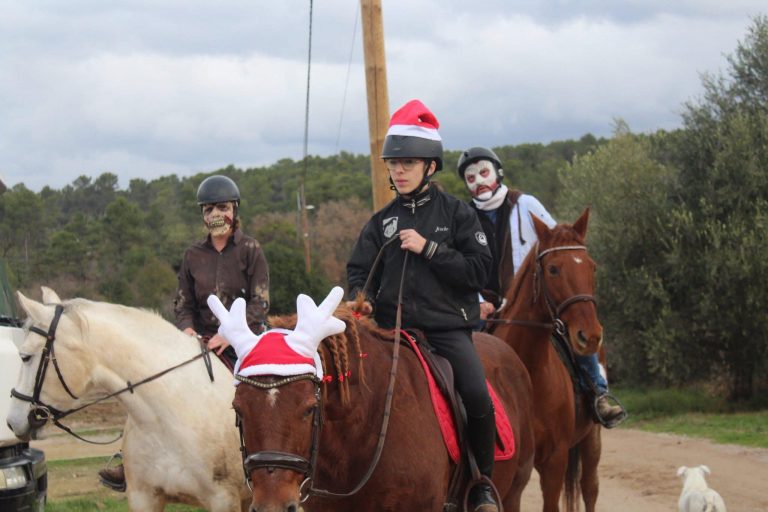 Noël à Camaisse : chasse au trésor et tombola