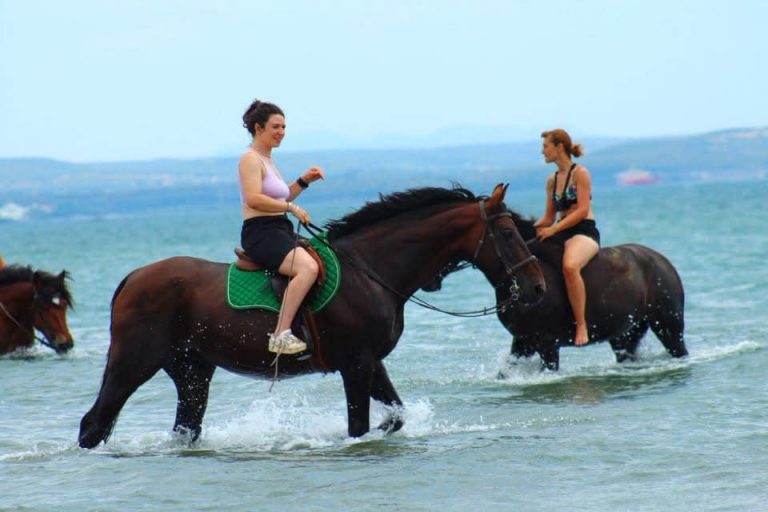 sortie plage pour les écuries de Camaïsse
