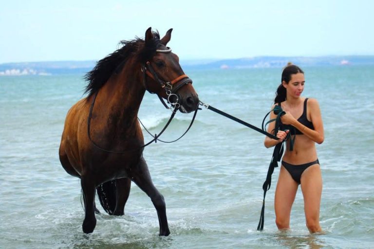 sortie plage pour les écuries de Camaïsse