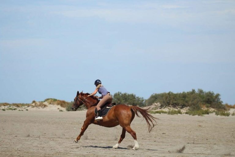 sortie plage pour les écuries de Camaïsse