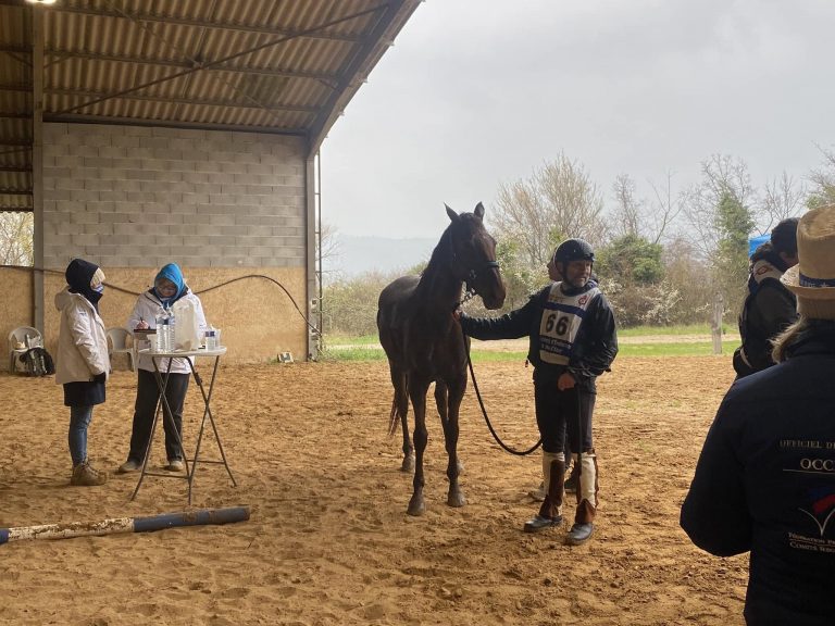 L'équipe de Camaïsse à la course d'endurance de Gréoux les bains