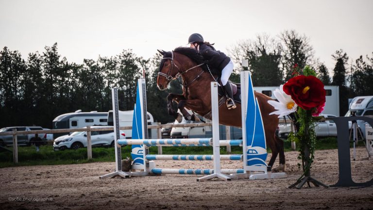 Retour sur le concours club de Pertuis au Domaine Équestre de la Durance