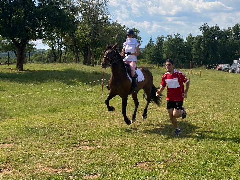 Ride & Fun 2026