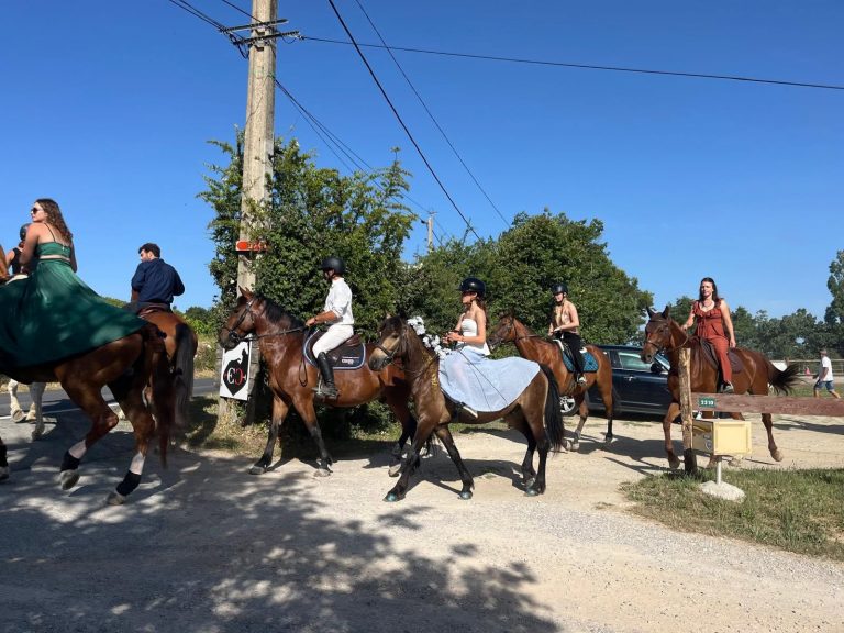 Bénédiction des chevaux d'Éguilles