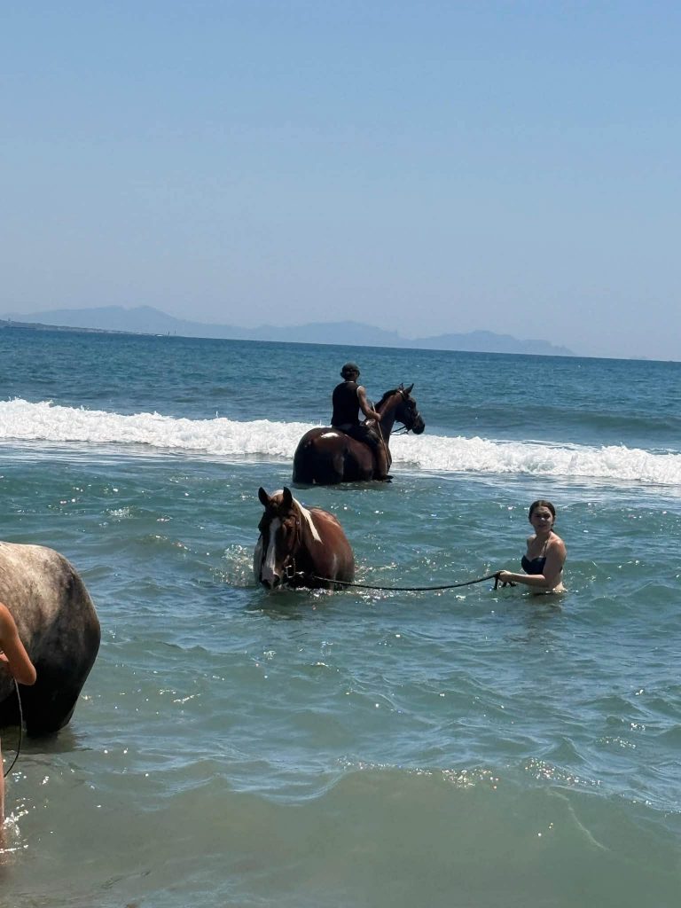 Sorties plage Camaïsse 2026