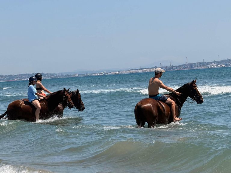 Sorties plage Camaïsse 2026
