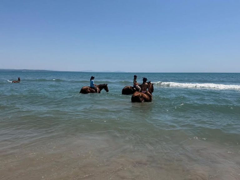 Sorties plage Camaïsse 2026