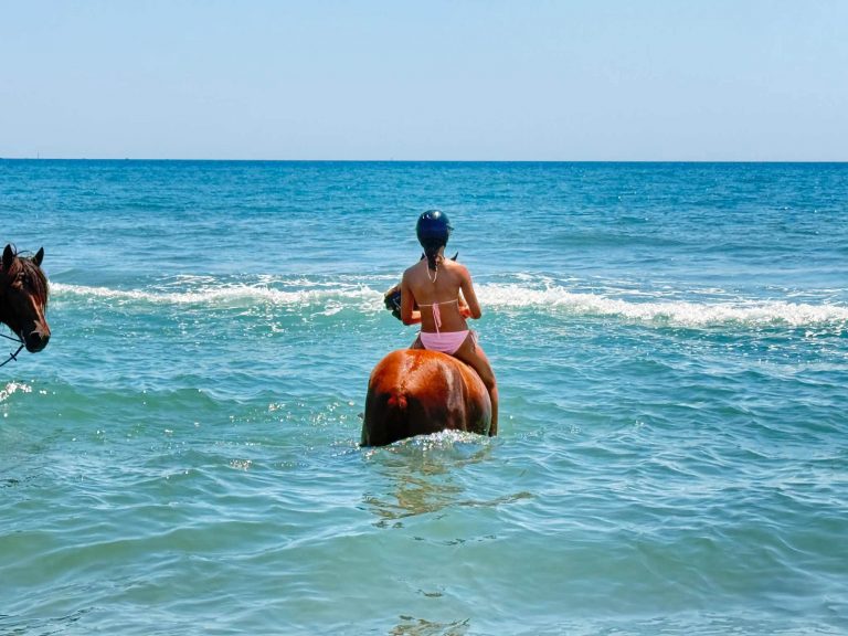 Sorties plage Camaïsse 2026