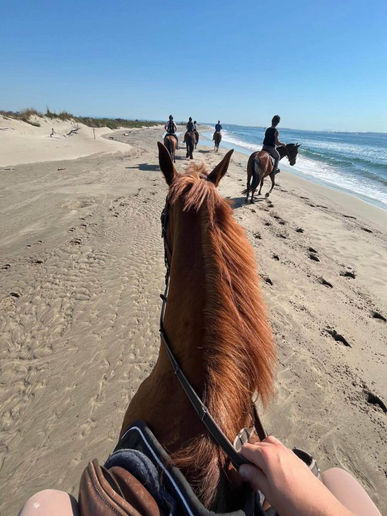Sorties plage Camaïsse 2026