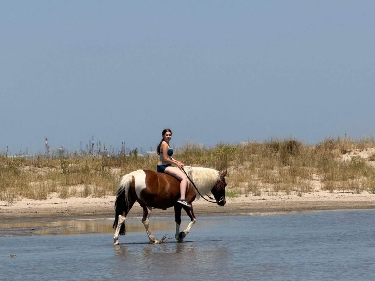 Sorties plage Camaïsse 2026