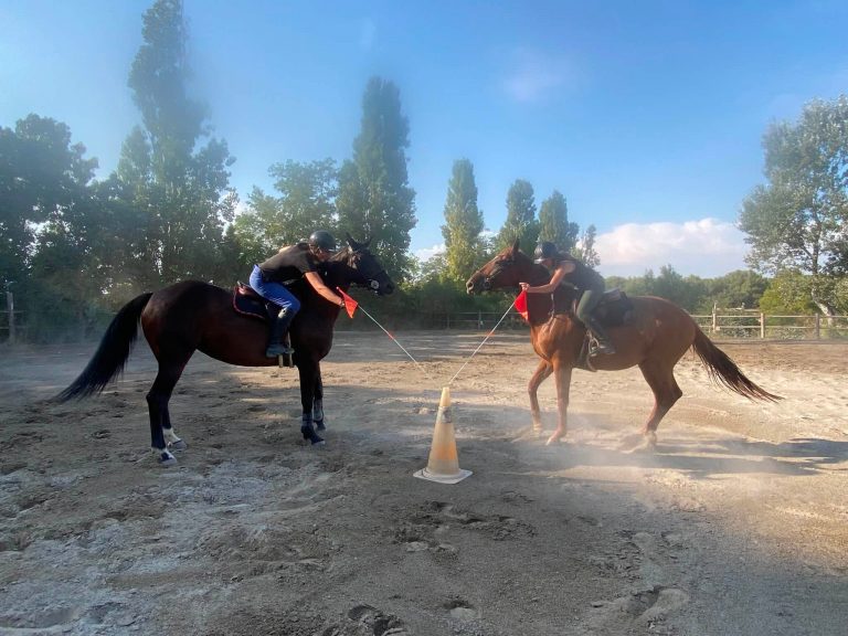 Soirée Pony Games