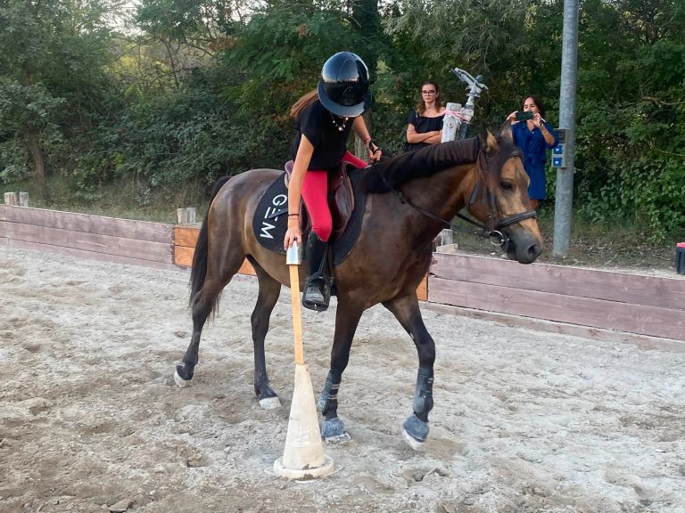 Soirée Pony Games